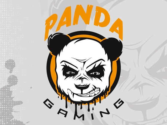 Created the Panda Gaming logo ( eSports )