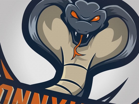 Created the SONNYH3LL Cobra logo design